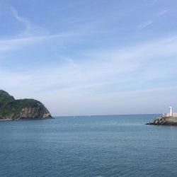 ヒラスズキとキスとイワシ♪